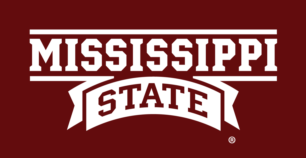 Mississippi State Bulldogs 2009-Pres Wordmark Logo v2 DIY iron on transfer (heat transfer)